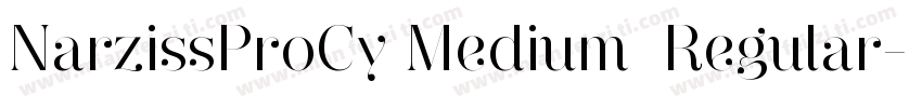 NarzissProCy Medium  Regular字体转换